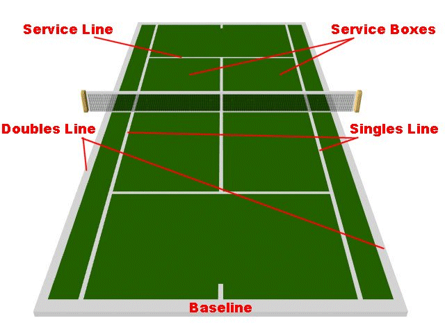 TOP SPIN LINES (Ruban zones Tennis de Table)